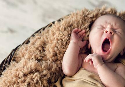 Primiero: contributo di 1.500 euro per ogni nuovo nato, anche primo figlio