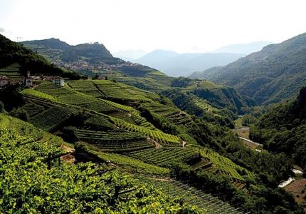 Trentino, "Paesaggi terrazzati": azioni per la conservazione