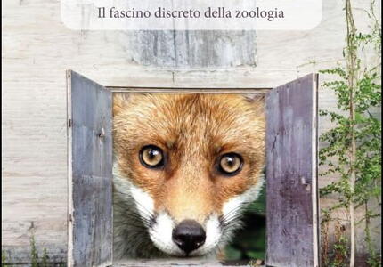 E’ in Libreria il Nuovo Libro di Aldo Martina “Messaggi dal Mondo Animale”
