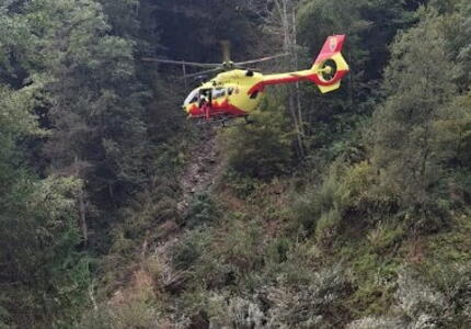 Sessantaseienne punto da uno sciame di vespe a Caoria