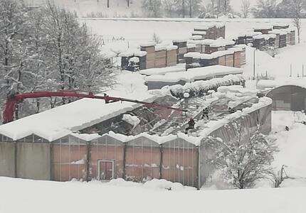 Danni neve alla serra Terre Alte