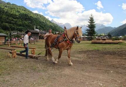 Imer, si avvicina l’appuntamento con la Boskavai