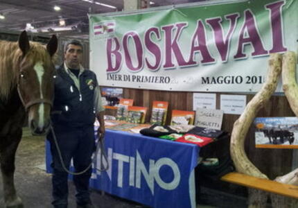 Successo di Fiera Cavalli e Boskavai