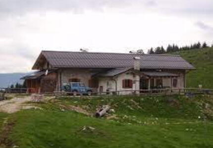 Malga Agnerola di Imer, cane attaccato dai lupi