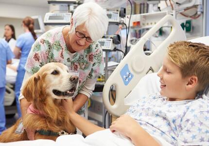 Amici a 4 zampe in visita ai pazienti negli ospedali dell’ Ulss Dolomiti