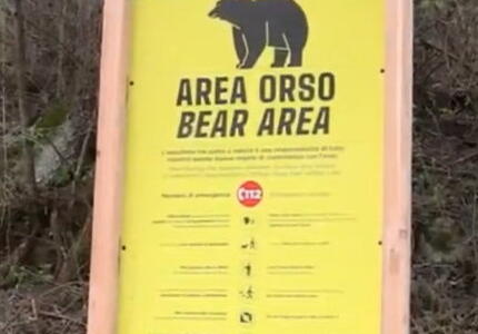 Orso, cartelloni informativi per gli escursionisti In Trentino