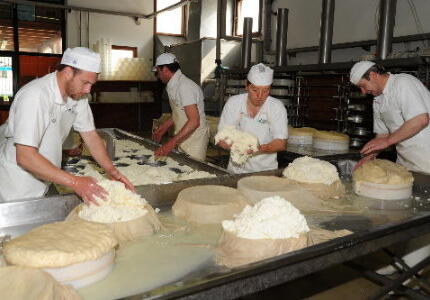 “Città del formaggio”, il titolo a Mezzano e al Caseificio
