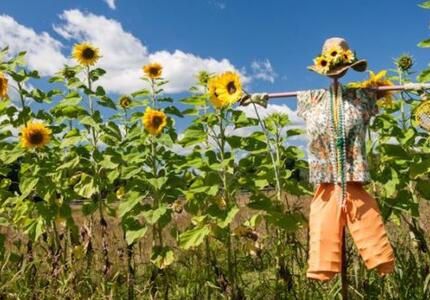 Marco Zugliani e lo spaventapasseri vola in Virginia