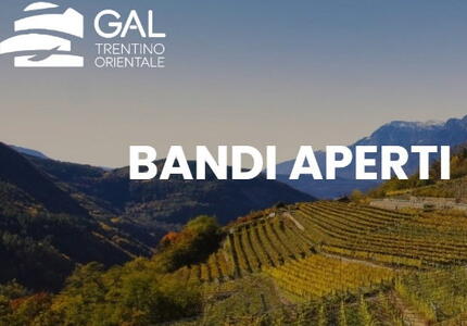 Sviluppo rurale Aperti i Bandi del GAL Trentino Orientale