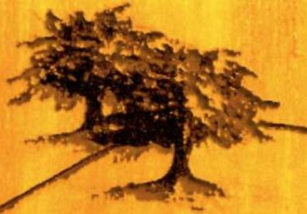 Nuovi scrittori cercasi: cresce “Frontiere-Grenzen”