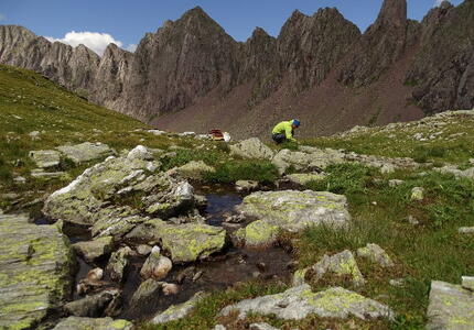 Con il Parco alla scoperta del misterioso mondo dei licheni