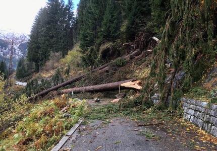 Maltempo – Raccolta Urgente Rilevazione danni Pubblici e Privati con Stima