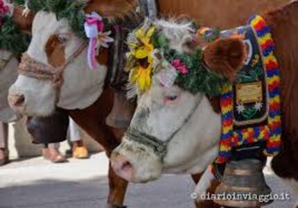 Gran Festa Del Desmontegar 2016   22-25 settembre 