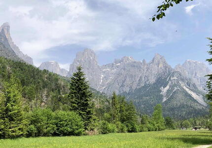 Primiero: studio sul ritorno di prati e pascoli perduti