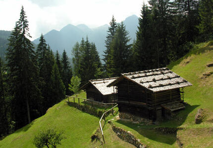 Idee per dare valori agli sfalci