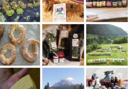 Primiero Discute: Prodotti Tipici Locali quale futuro ? Venerdi 2 lug ore 14.30