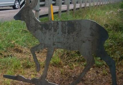 Attraversamenti fauna selvatica: proposta 5Stelle per ridurre gli investimenti