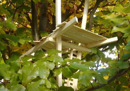 Pensieri Appesi su Alberi