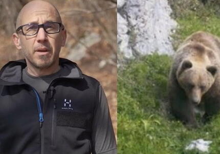 Gestione dell'orso in Trentino - Intervista Zibordi